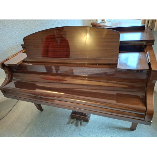 196 - Challon of London, early/mid 20thC baby grand piano,

Collection from vendors home - 5 mins drive fr... 