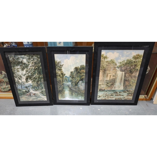 Lot 85        
