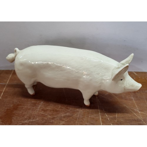 419 - Beswick champion Pig