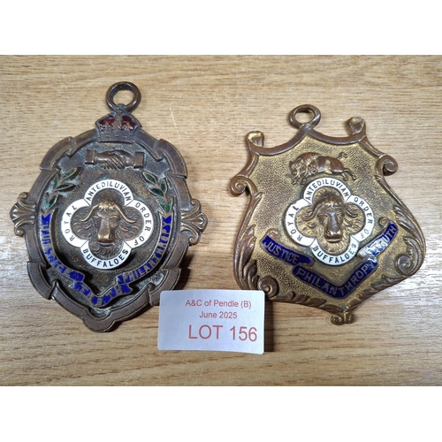 156 - Two Royal Order of Buffalos large brass medallions (2)