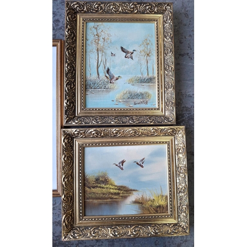 101 - Pair of small oil paintings depicting Mallards in flight, both signed WARWICK and both in matching g... 