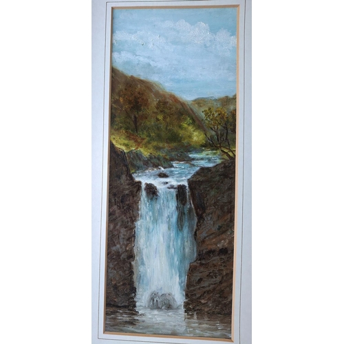 101 - Pair of small oil paintings depicting Mallards in flight, both signed WARWICK and both in matching g... 