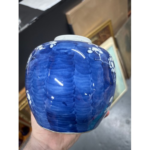 385 - 19th century antique blue and white ginger jar with Prunus flower decoration, A/F