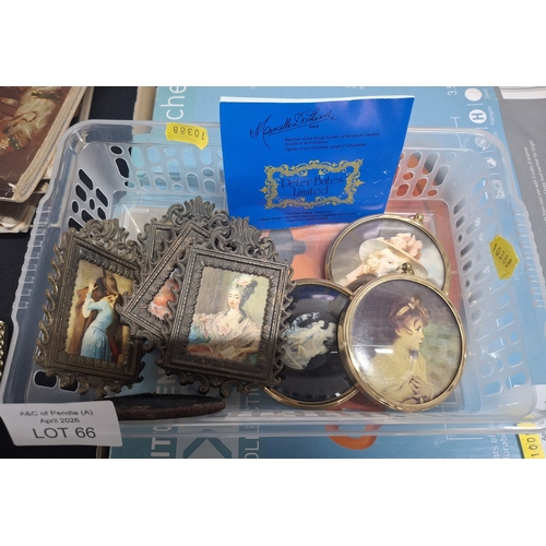 Lot 66        