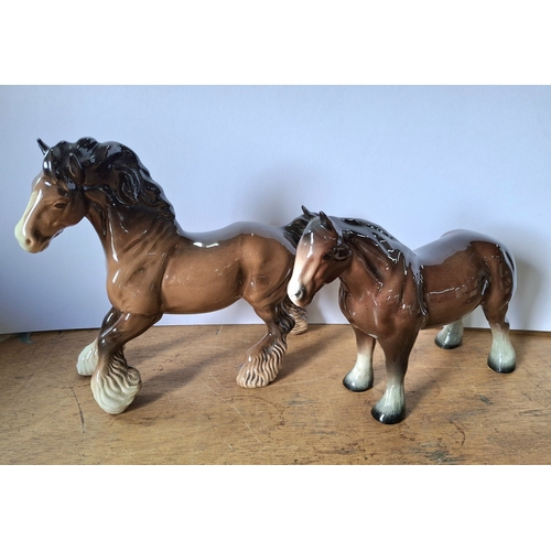 51 - Two large Beswick, brown Shire horse foals (2)