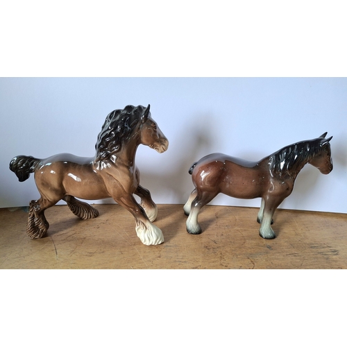 51 - Two large Beswick, brown Shire horse foals (2)