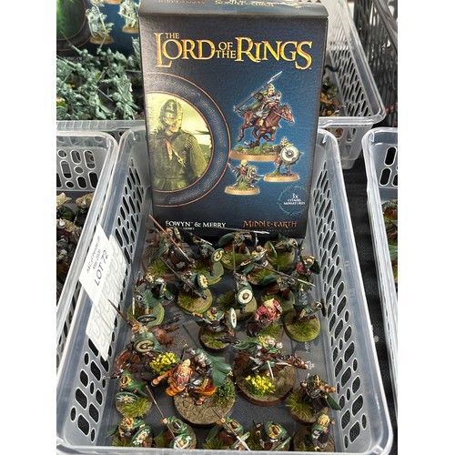72 - Lord of the Rings Human 