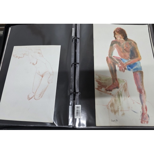 108 - Folio of nude artworks - includes watercolours, pastel, sketches etc.