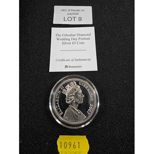 Lot 9         