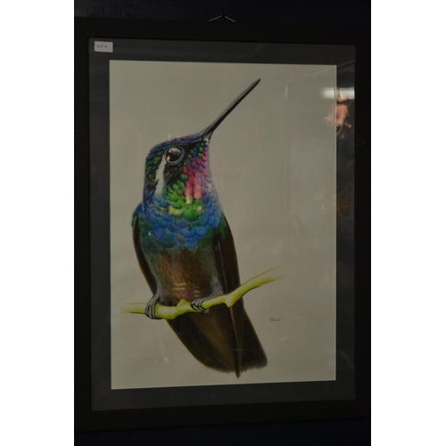 129 - Large Mixed Media of a Hummingbird Signed Kinsella