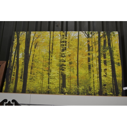 486 - Canvas Print of a Woodland Scene