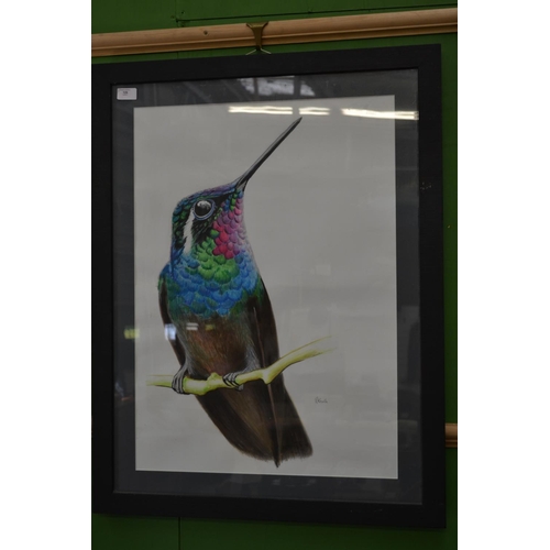 129 - Large Mixed Media of a Hummingbird Signed Kinsella