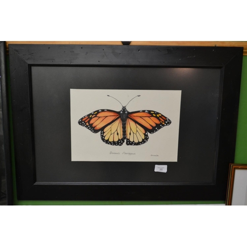 151 - Watercolour + Ink of Butterfly Signed Kinsella 33cm x 22cm