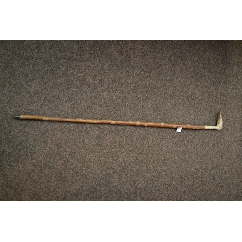 220 - Goats foot walking stick