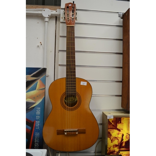 477 - Acoustic Anjelica Guitar