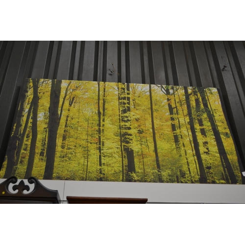 486 - Canvas Print of a Woodland Scene