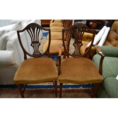 642 - 8 wheat sheaf dining chairs inc. 2 carvers