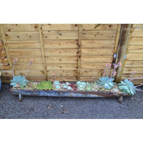 5 - Galvanised feeder planted with succulents