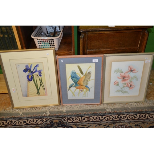 277 - 2 watercolours. 1 of a kingfisher and 1 of poppies. 1 limited edition print of an Iris by S T Mar.