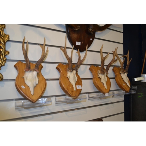 507 - 4x Sprig Antlers and Caps Mounted