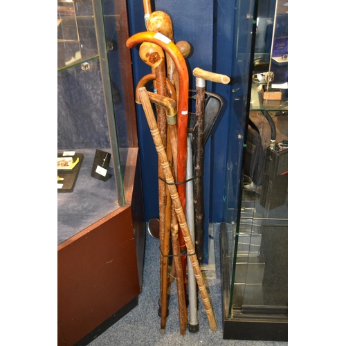 668 - Bundle of Victorian Horn Handled etc Walking Sticks