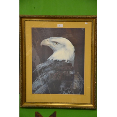 115 - Large framed print of a Bald Eagle 47cm x 58cm