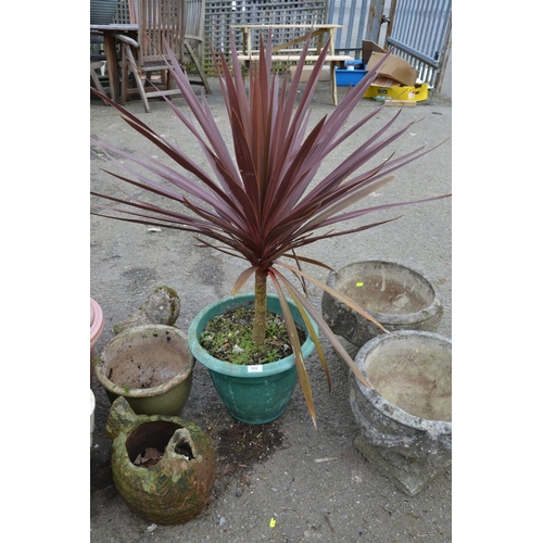 113 - Green planter with planted palm plant