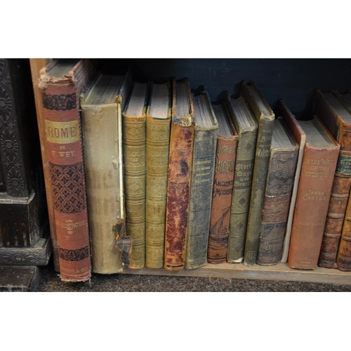 204 - 2 Shelves of travel & exploration, including Europe & Africa