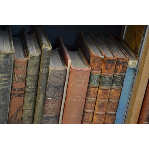 204 - 2 Shelves of travel & exploration, including Europe & Africa
