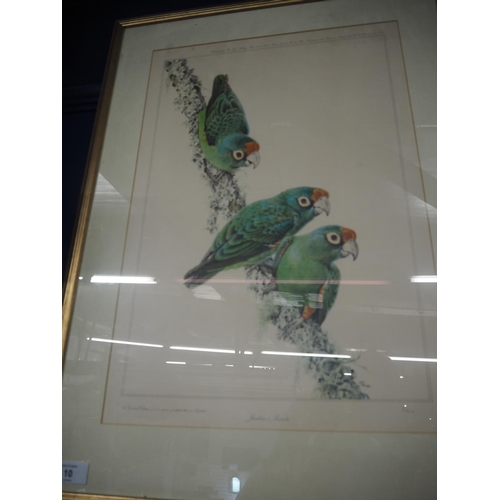 10 - Signed Ltd. Ed. Jardines Parrots, signed Réna 54cm x 73cm