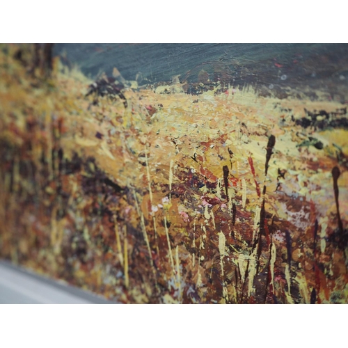 7 - Oil on board of a moorland scene by Katie Stoneman. Height 32cm x width 65cm