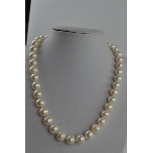 414 - Beautiful string of large pearls with an 18ct gold clasp. 44cm long