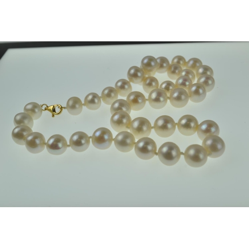 414 - Beautiful string of large pearls with an 18ct gold clasp. 44cm long