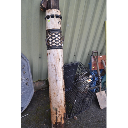 Lot 24        