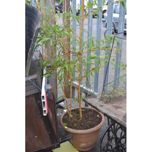 Lot 5         