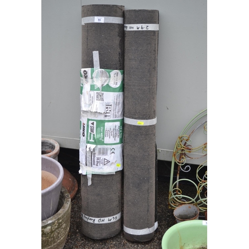 Lot 55        