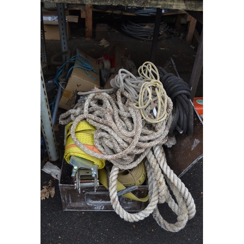 Lot 383       