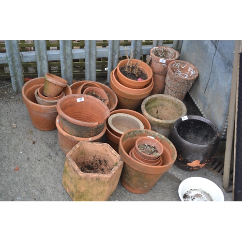 186 - Large qty of terracotta pots