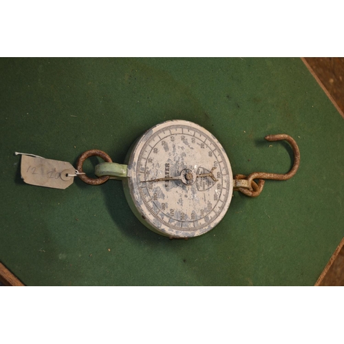 252 - Vintage Salter hanging scales