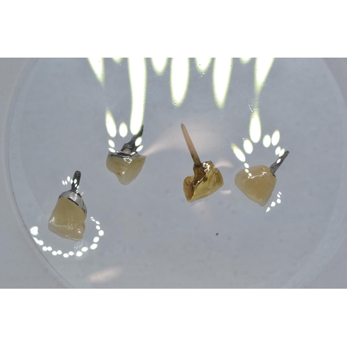 65 - Four gold & teeth crowns, including three white gold & one yellow gold, gross weight 6.07 gr... 