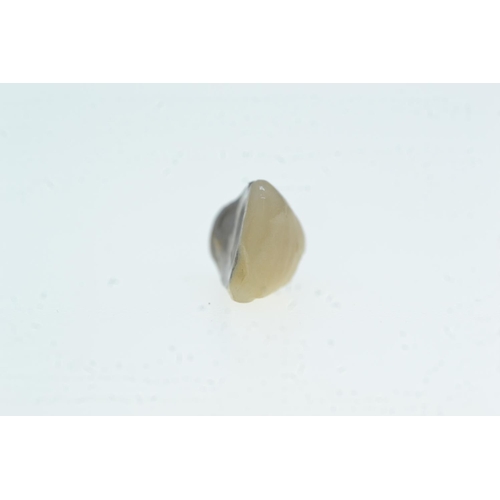 65 - Four gold & teeth crowns, including three white gold & one yellow gold, gross weight 6.07 gr... 