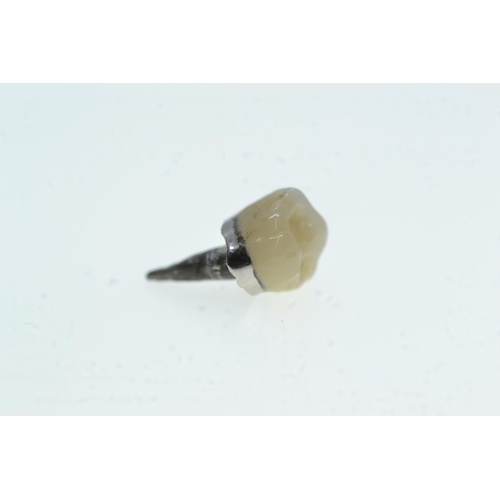 65 - Four gold & teeth crowns, including three white gold & one yellow gold, gross weight 6.07 gr... 