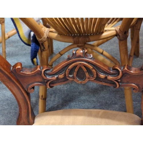 409 - Pair of Victorian balloon backed chairs