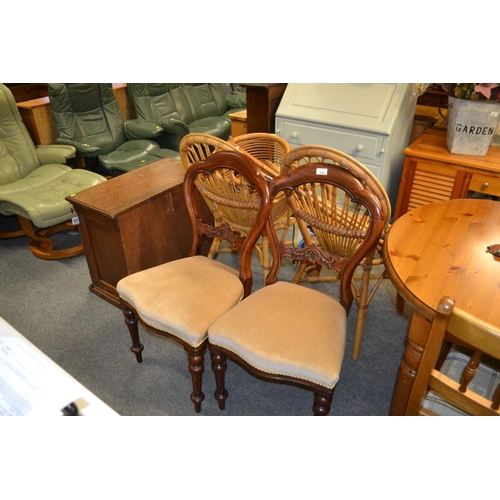 409 - Pair of Victorian balloon backed chairs