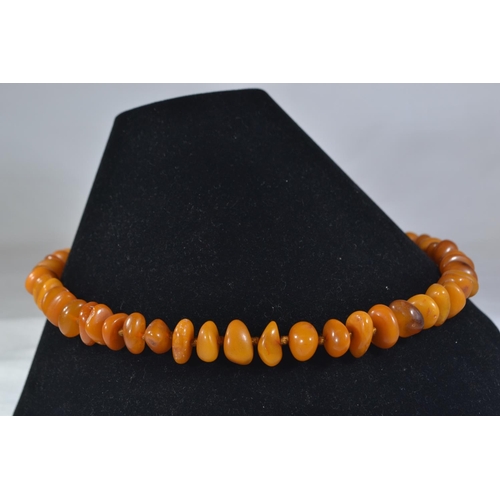 162 - Amber bead necklace, circumference 510mm, 31.19 grams