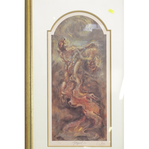 654 - 2 x Joy Kirton Smith- Signed ltd. ed. prints both are 379/600. Titled Tempest I & Tempest II. 47... 