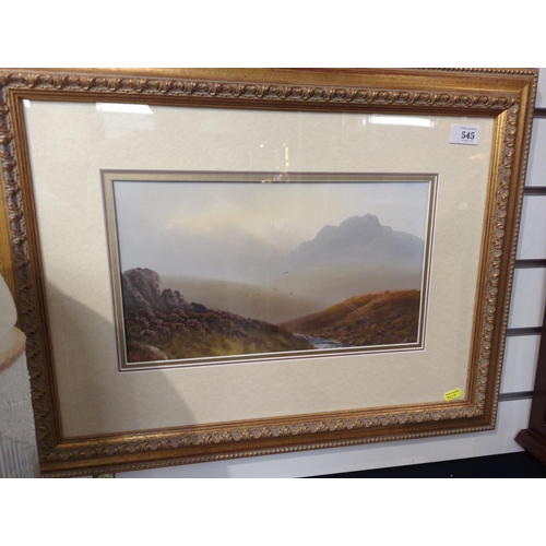 Lot 491       