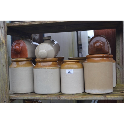 203 - Top shelf of stoneware jars (8) & 3 stoneware hot water bottles