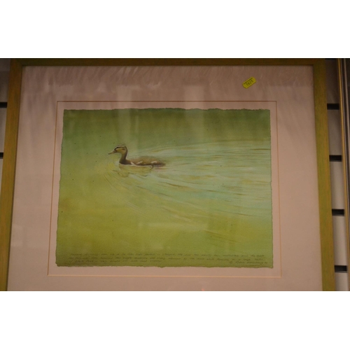 434 - Robin Armstrong of mallard duckling in the water. 58.5cm x 53cm.