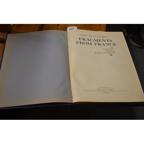 Lot 480       